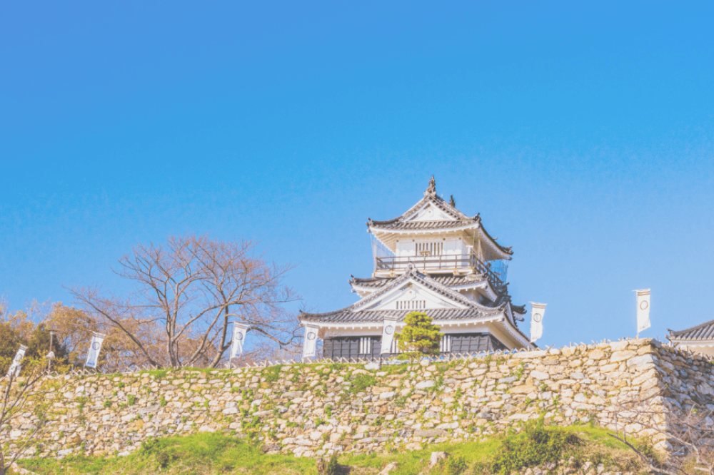 静岡浜松店